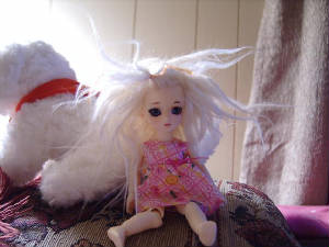 wigs.jpg